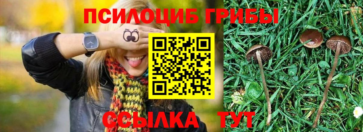 Калач-на-Дону  Галлюциногенные грибы GOLDEN TEACHER  Вход с VPN 